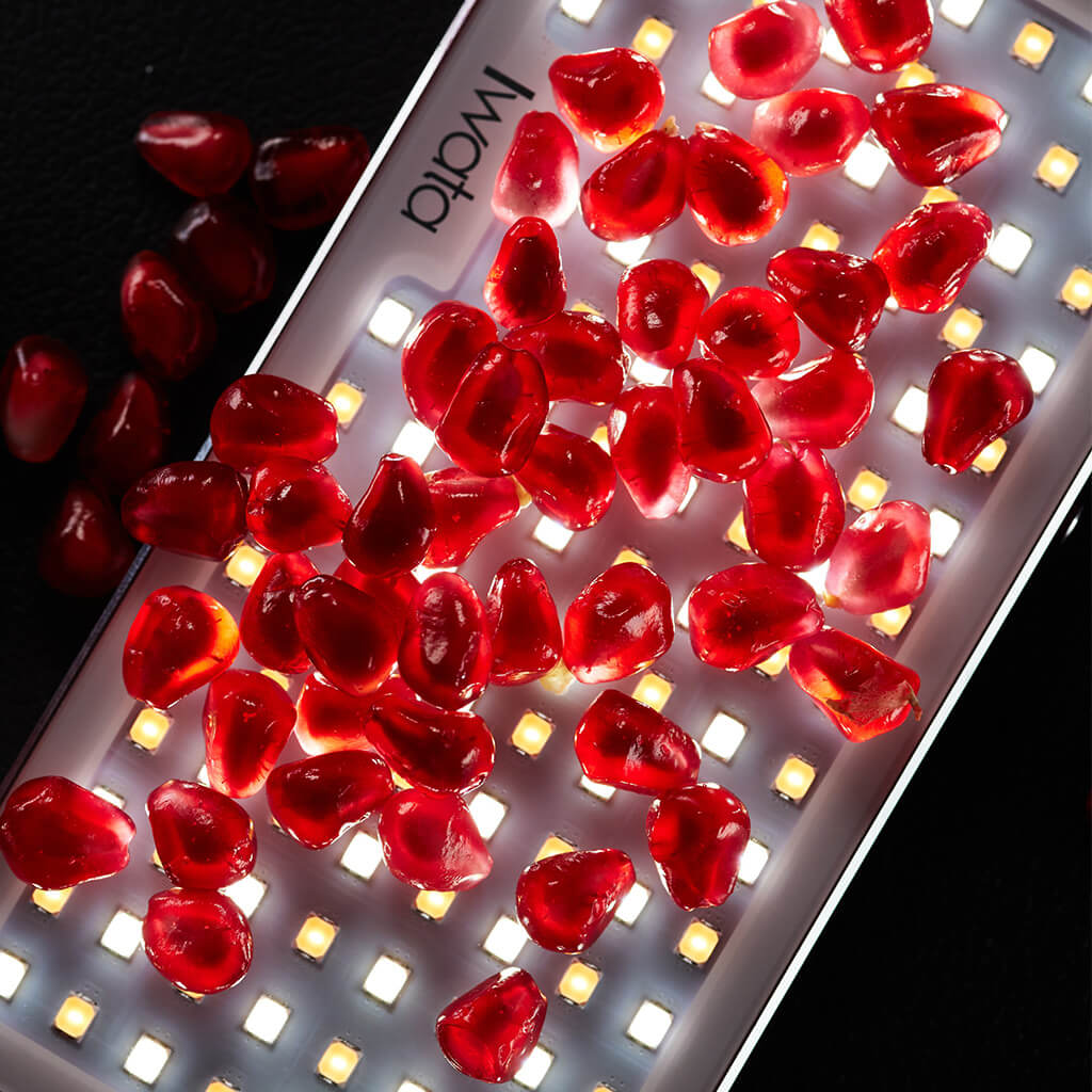 iwata GL-01 used for fruit photography